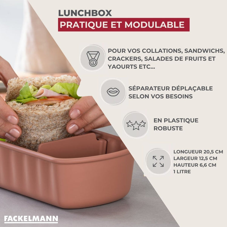Lot de 4 lunch box compartimentées avec 4 ustensiles de cuisine Fackelmann Storage