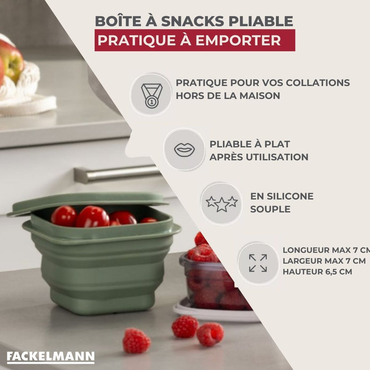 Lot de 4 boîtes à lunch 1 L avec 4 ustensiles de cuisine Fackelmann Storage