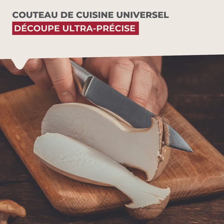 Couteau universel 24 cm en inox Set de 2 couteaux de cuisine professionnels Nirosta Star