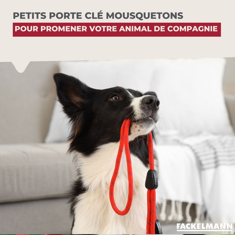 Petit mousqueton porte clé Fackelmann Tecno