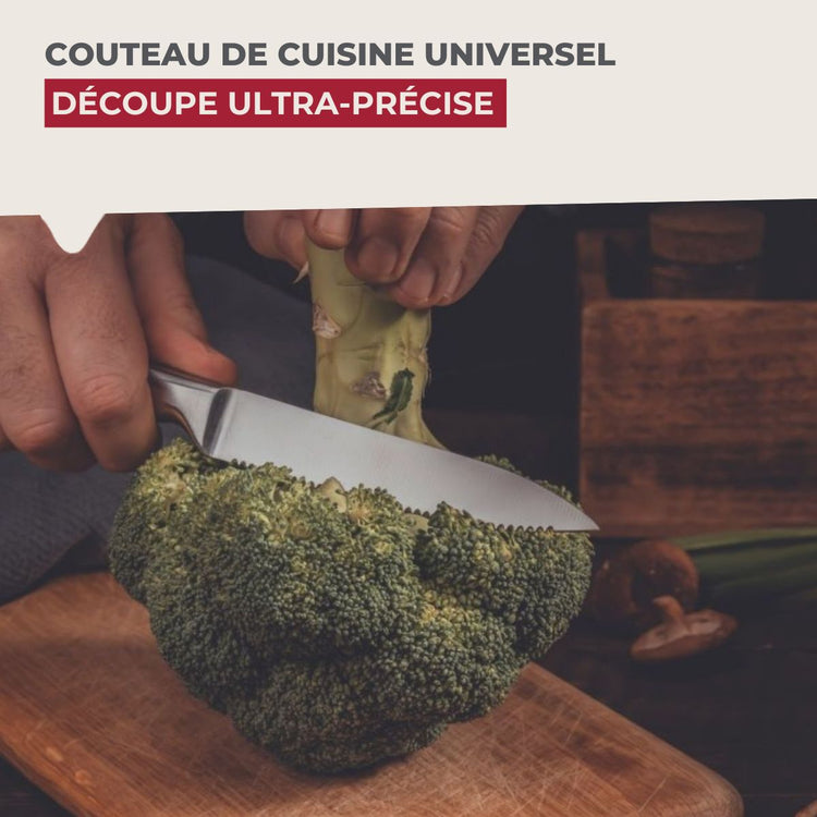 Ensemble de 4 Couteaux de cuisine professionnel 24 cm lame crantée Nirosta Star