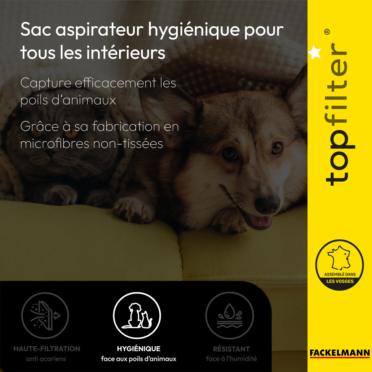 Lot de 4 sacs aspirateur pour Daewoo TopFilter Premium
