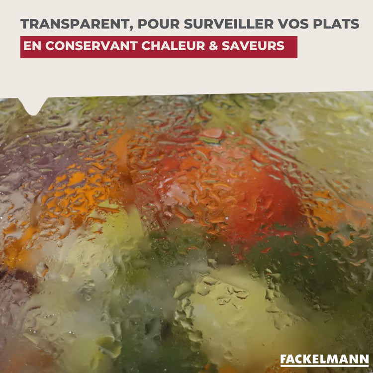 Couvercle de cuisson adaptable de 16 à 20 cm en verre et silicone Fackelmann