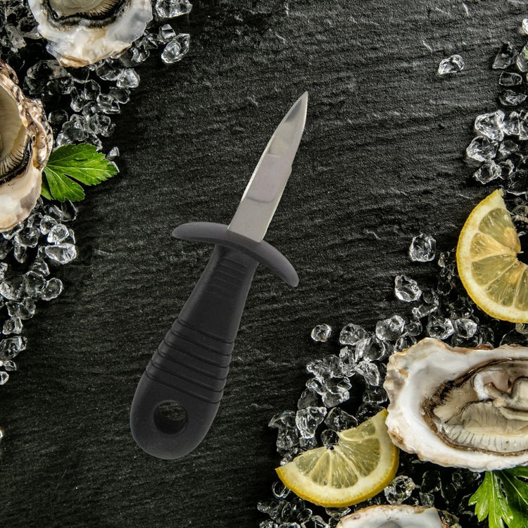 Ensemble de 2 Couteaux à huîtres 15,5 cm Fackelmann
