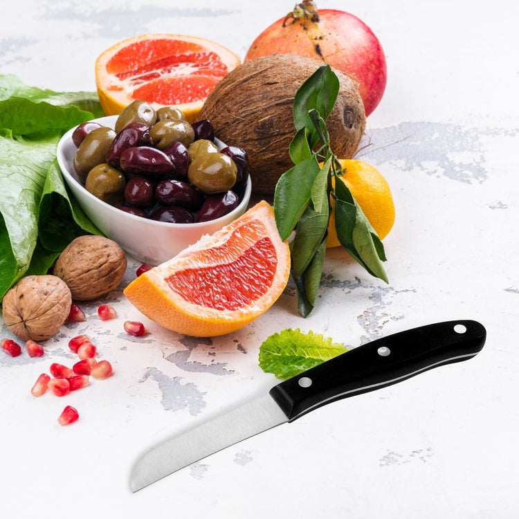 Set de 4 couteaux de cuisine 20 cm en inox Nirosta Fit