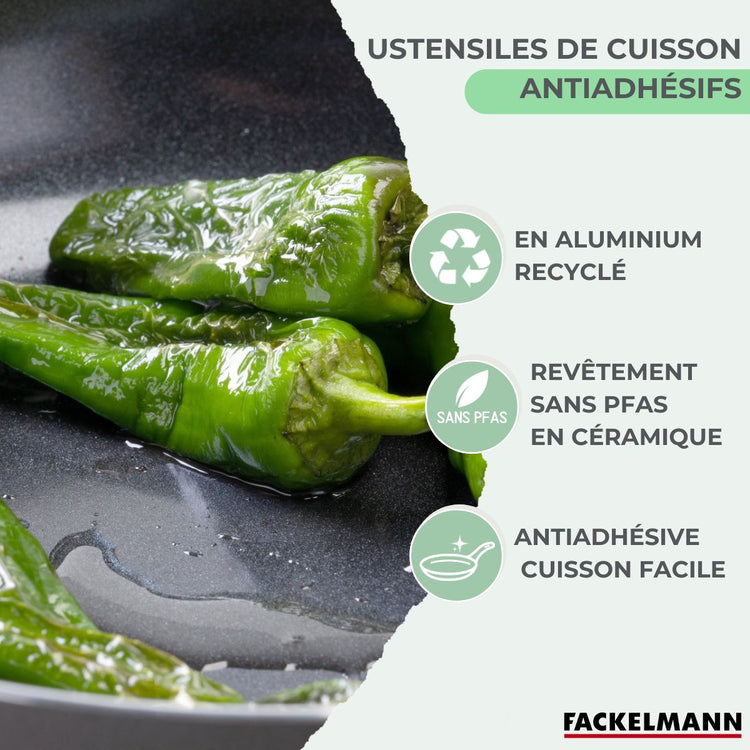 Set de 2 poêles 16 et 20 cm, 3 casseroles céramique 16, 18 et 20 cm et 6 ustensiles Fackelmann Brandao