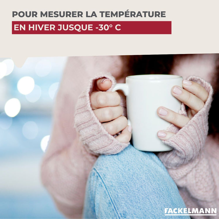 Thermomètre mural intérieur et extérieur en bois Fackelmann Tecno