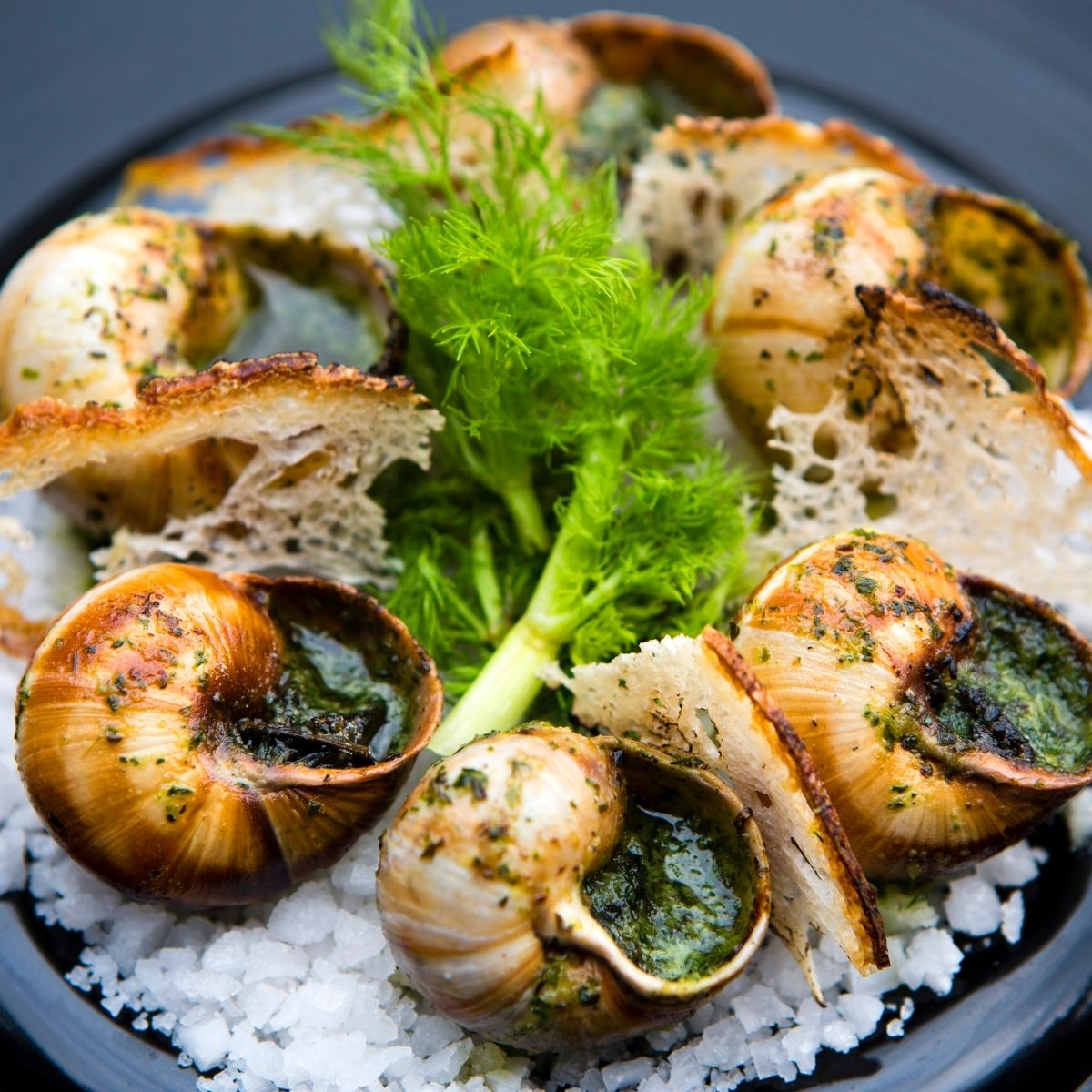 Lot de 10 plats à escargots en aluminium Fackelmann