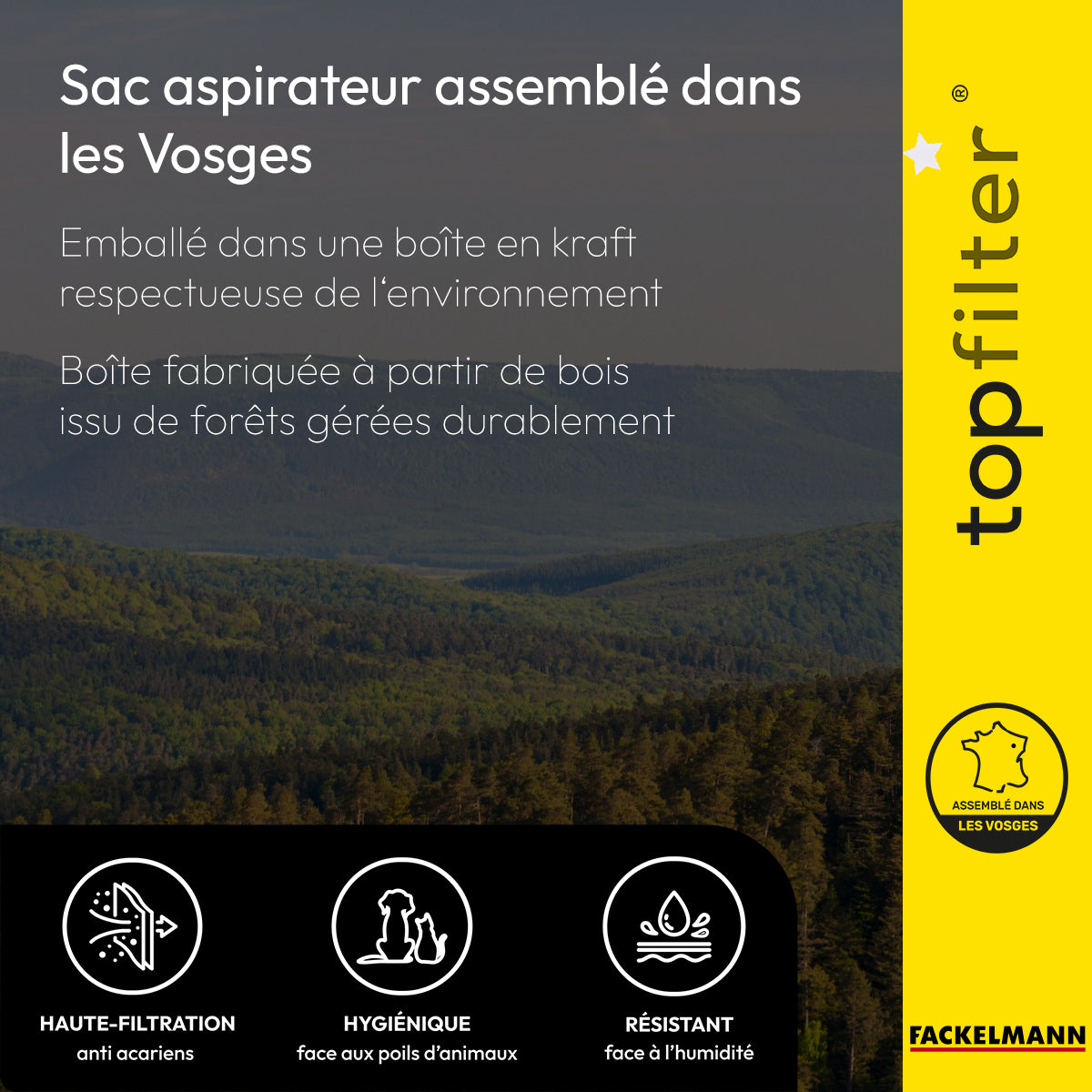 Lot de 4 sacs aspirateur pour Goldstar et LGE TopFilter Premium