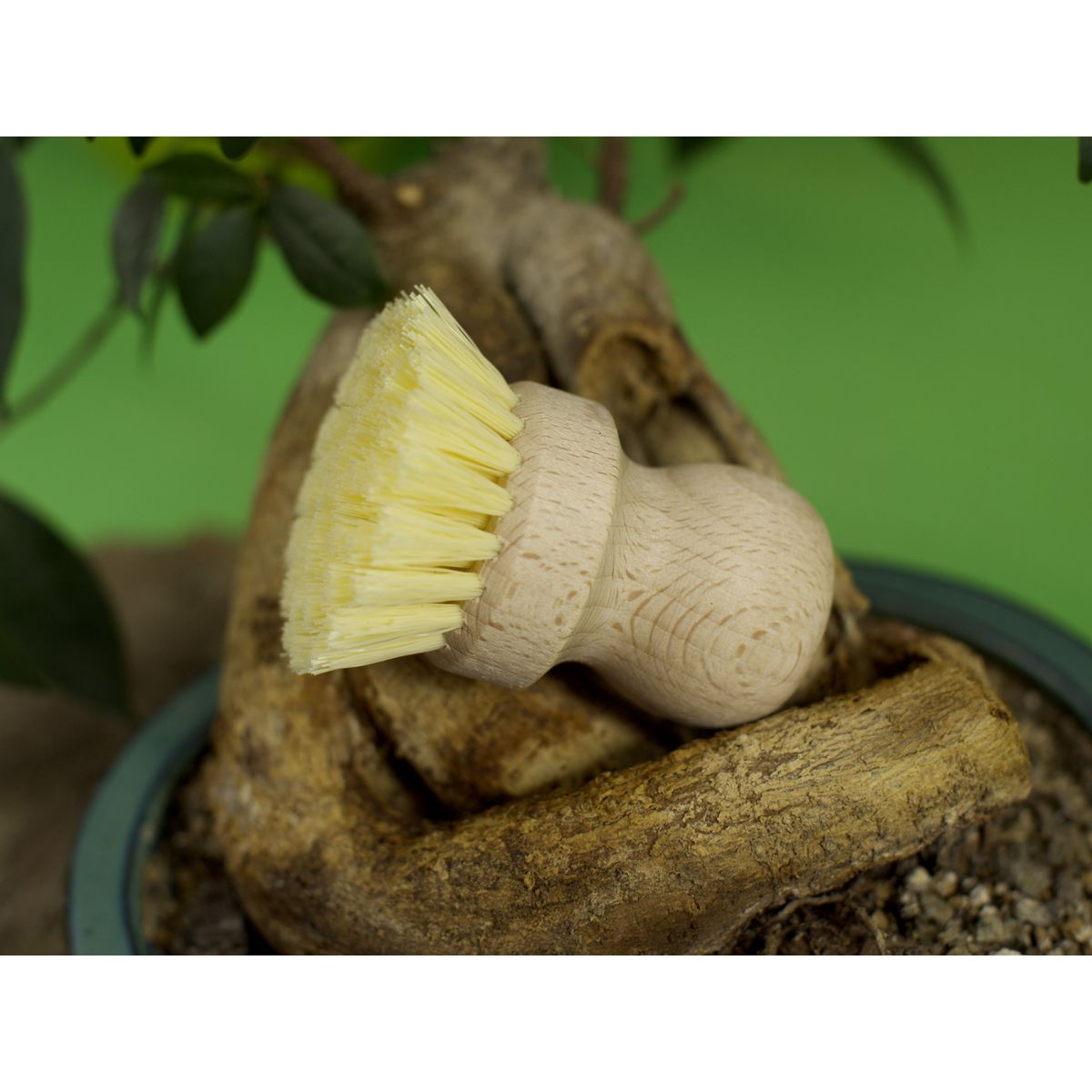 Brosse à vaisselle en bois écologique Fackelmann Eco Friendly