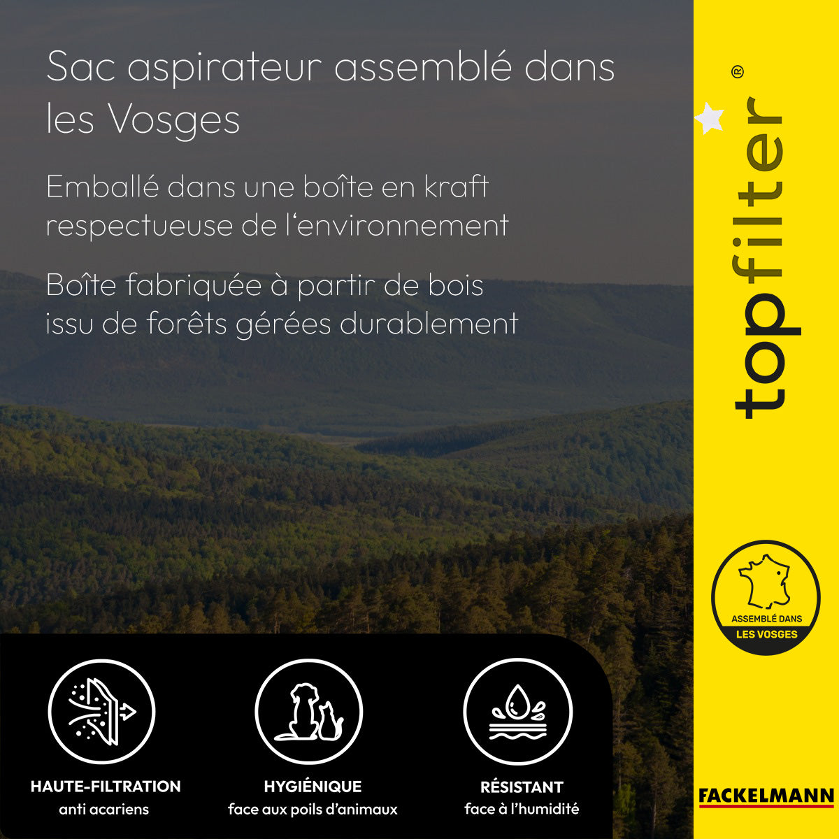 Lot de 4 packs de 4 sacs aspirateur 64329 pour Hoover Freespace EVO TopFilter Premium